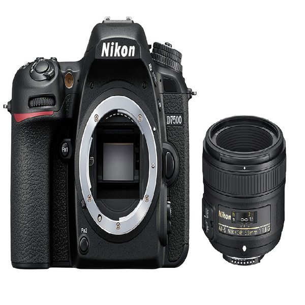 ニコン Nikon D7500 単焦点 ズームレンズ セット - デジタル一眼