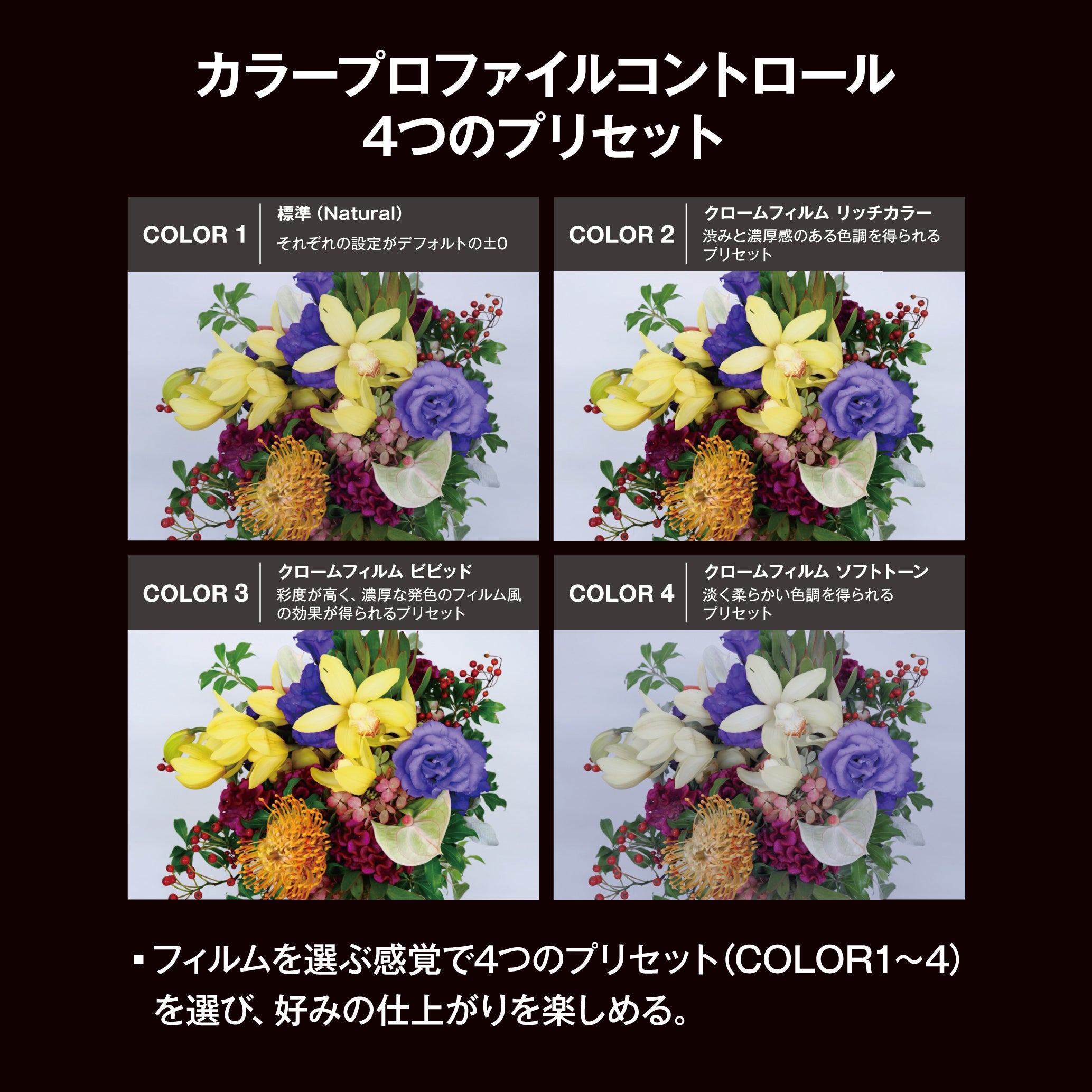 [レンタル] OM SYSTEM OM-3 12-45mm F4.0 PRO レンズキット - 14