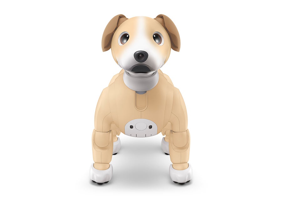 [レンタル] ソニー エンタテインメントロボット aibo きなこエディション 足裏パッド付き - 3