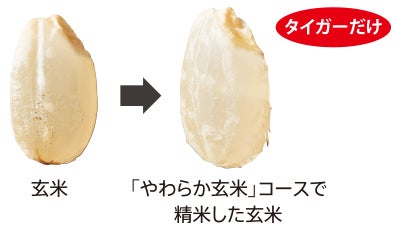 [レンタル] [5合]タイガー 精米機 家庭用 無洗米 機能付 RSF-A100-R - 3