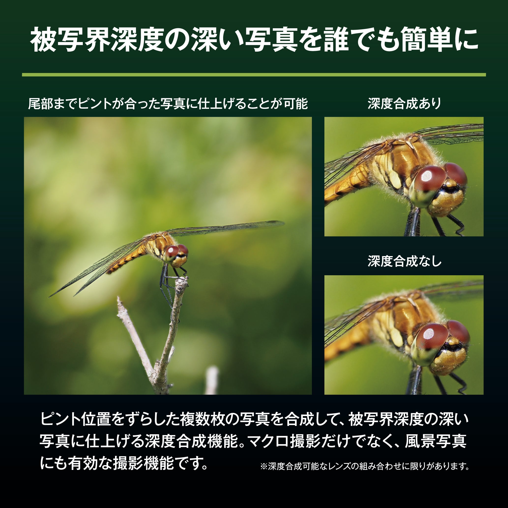 [レンタル] OM SYSTEM OM-5 Mark II 14-150mm II レンズキット ブラック - 4