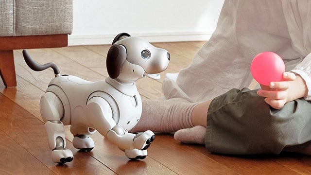[レンタル] ソニー エンタテインメントロボット aibo アイボリーホワイト 足裏パッド付き - 6
