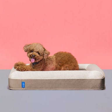 gugu ドギー 犬用ベッド Sサイズ ベージュ