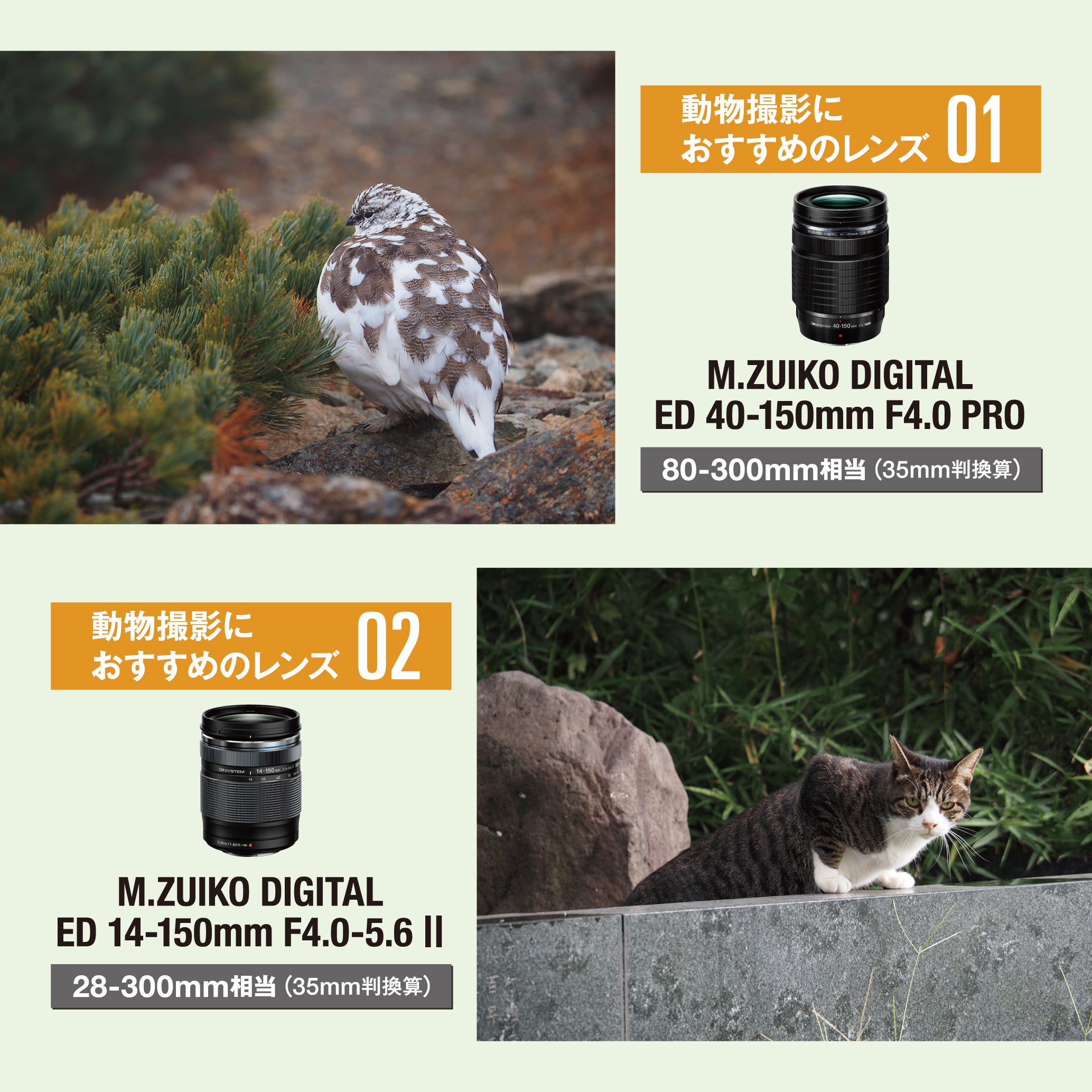 [レンタル] OM SYSTEM OM-5 Mark II 14-150mm II レンズキット サンドベージュ - 20