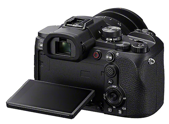 [レンタル] ソニー Cyber-shot DSC-RX10M5 コンパクトデジタルカメラ - 12