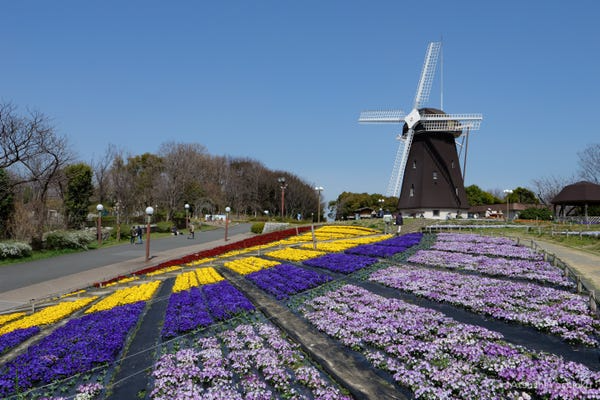 [レンタル] パナソニック LUMIX DC-GH6 標準ズームレンズキット ミラーレス一眼 - 7