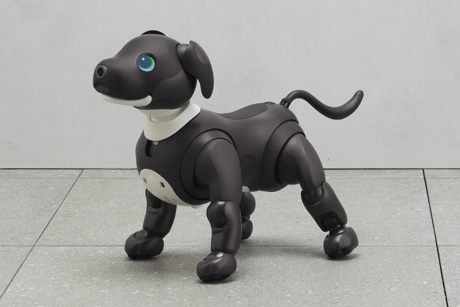 [レンタル] ソニー エンタテインメントロボット aibo エスプレッソエディション 足裏パッド付き - 7