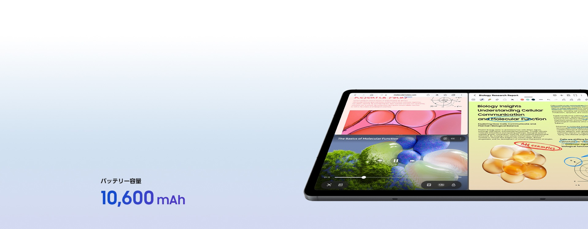 サムスン(Samsung) Galaxy Tab S12+ (Wi-Fi, 12.6インチ) 10,600mAhの大容量バッテリー - 10