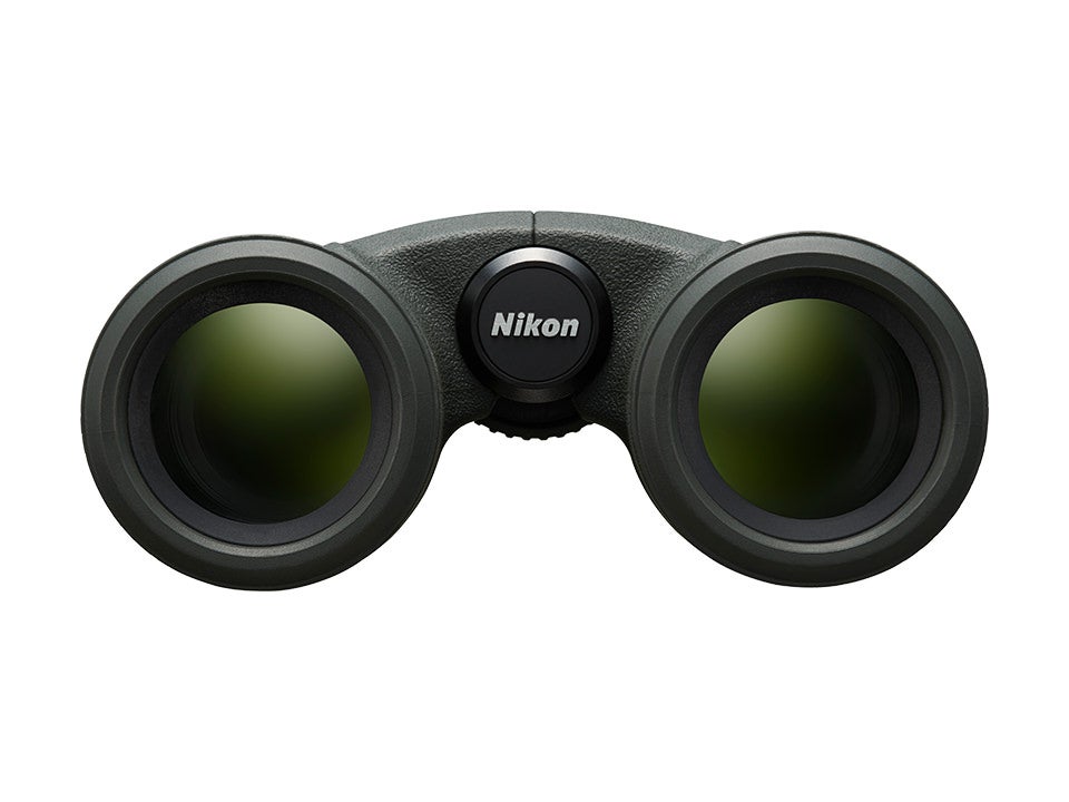 [レンタル] [倍率8倍] ニコン PROSTAFF P7 8x30 双眼鏡 - 8