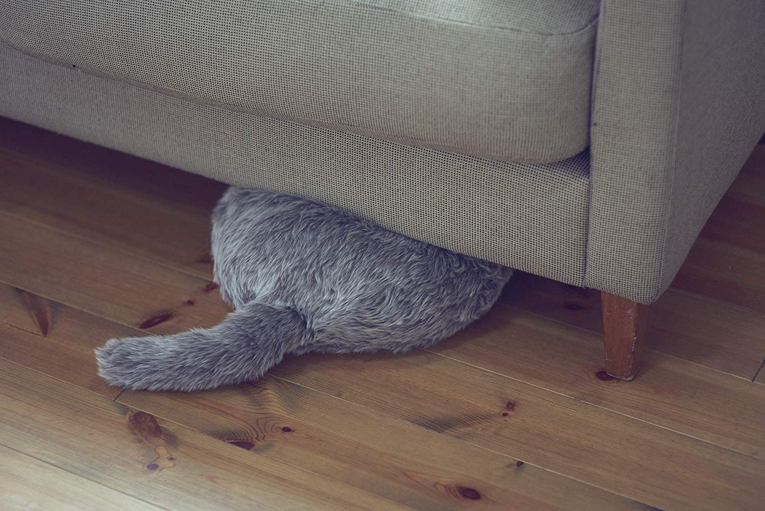 [レンタル] Qoobo 心を癒やす、しっぽクッション - 3