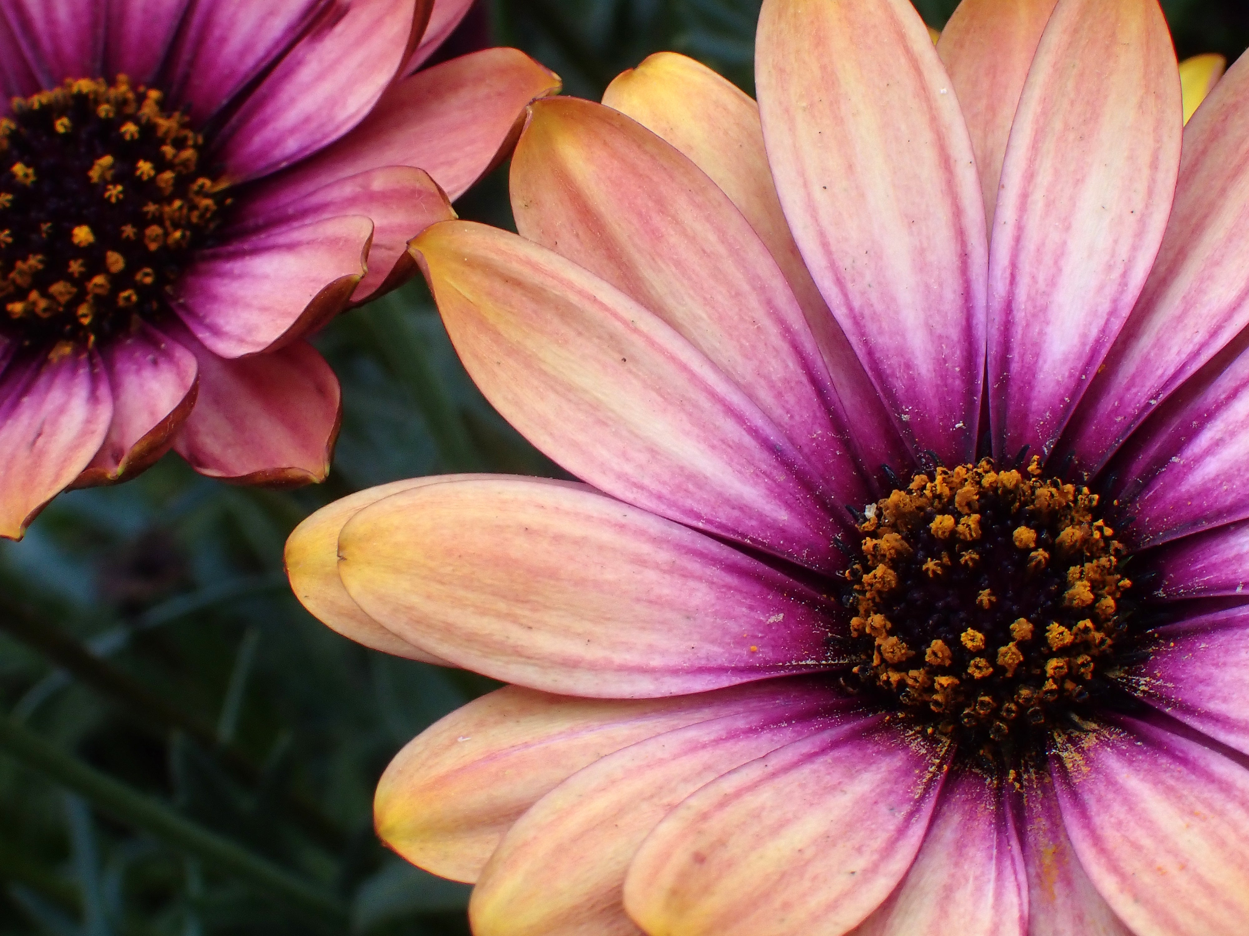 [レンタル] OM SYSTEM 防水カメラ Tough TG-7 コンパクトデジタルカメラ - 18