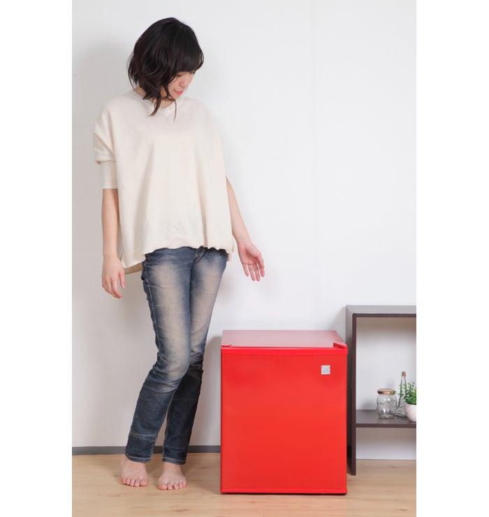 [レンタル] Sun Ruck (サンルック) 冷庫さん 冷蔵庫 SR-R4802 小型 48L ワンドア ペルチェ方式 1ドア 右開き ブラック - 8