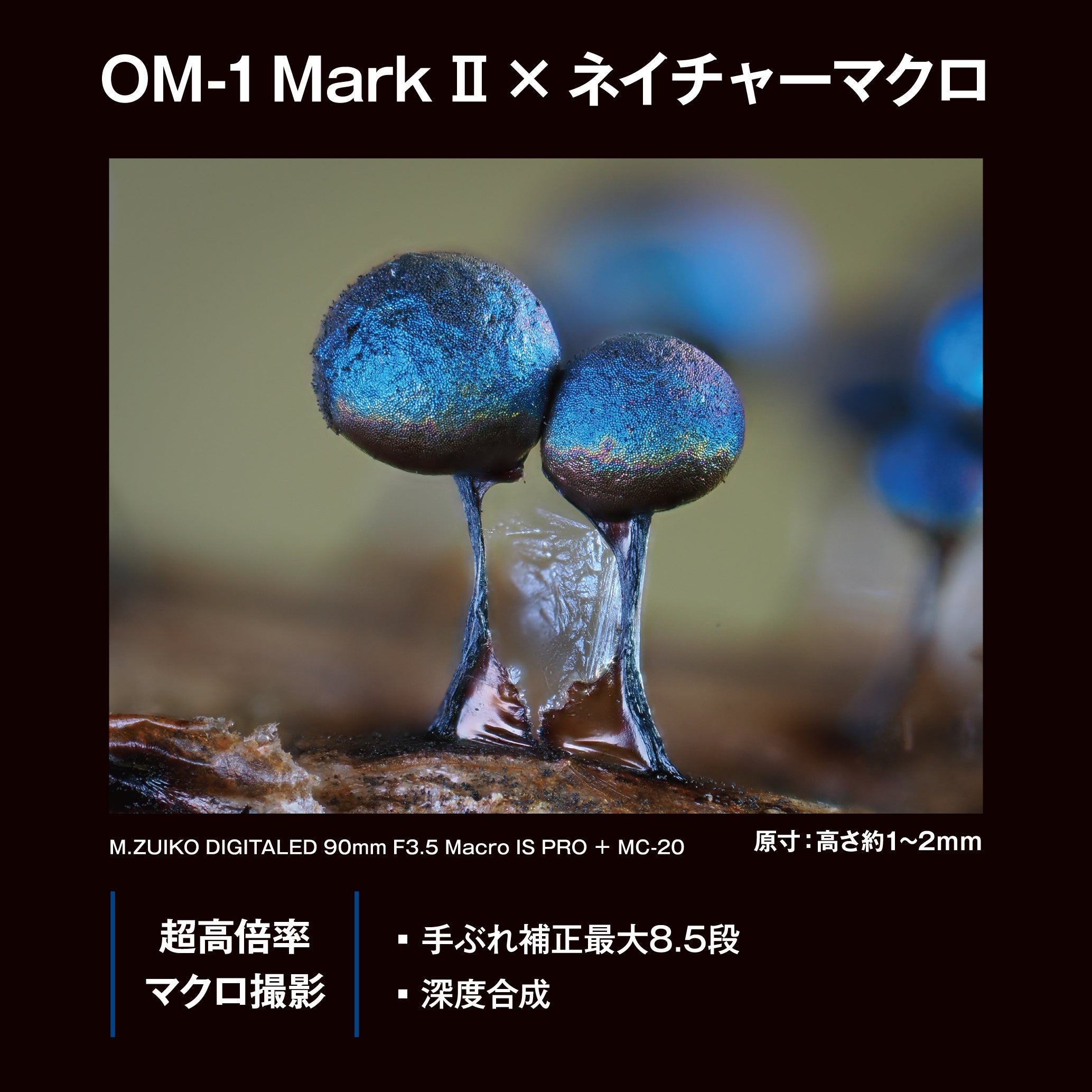[レンタル] OM SYSTEM OM-1 Mark II ボディ ミラーレス一眼 - 20