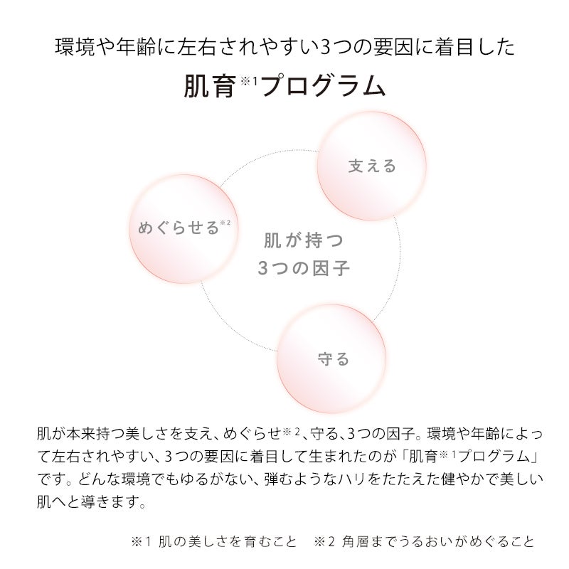 [レンタル] MTG ReFa リファビューテック ポイント - 6