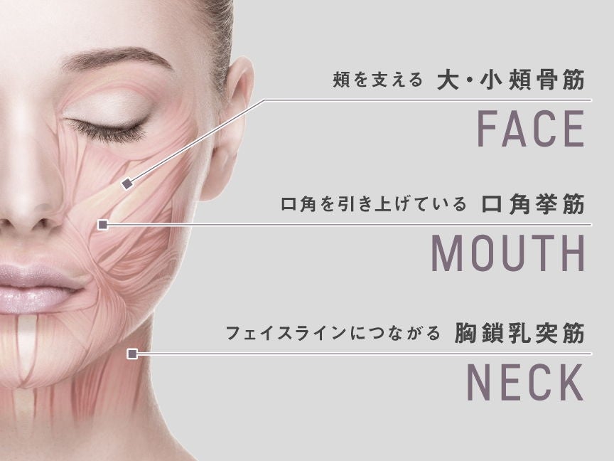 [レンタル] パナソニック リフトケア 美顔器 バイタリフト かっさ EH-SP86 - 8