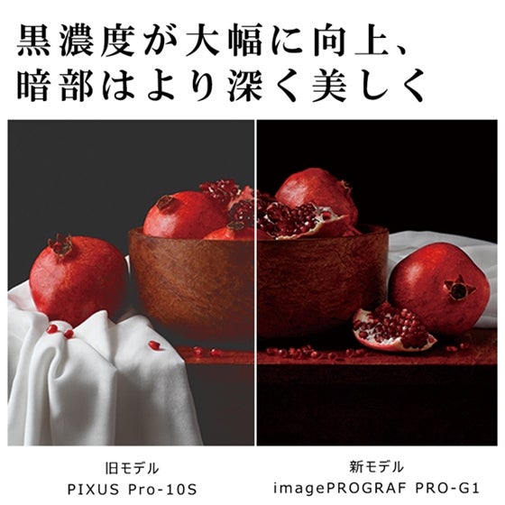 [レンタル] CANON(キヤノン) imagePROGRAF PRO-G1 A3カラーインクジェットプリンター (プロ・ハイアマチュアフォトグラファー向け) - 4