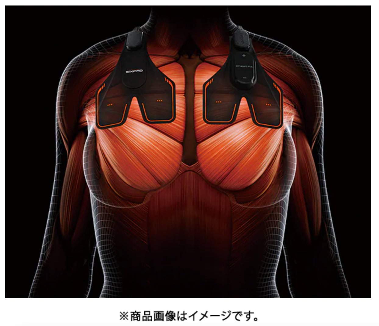 レンタル] MTG SIXPAD シックスパッド Chest Fit チェスト