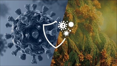 [レンタル] ダイキン DAIKIN ACK705A-W 加湿ストリーマ空気清浄機(〜31畳)( 加湿：木造12畳/プレハブ19畳) - 7