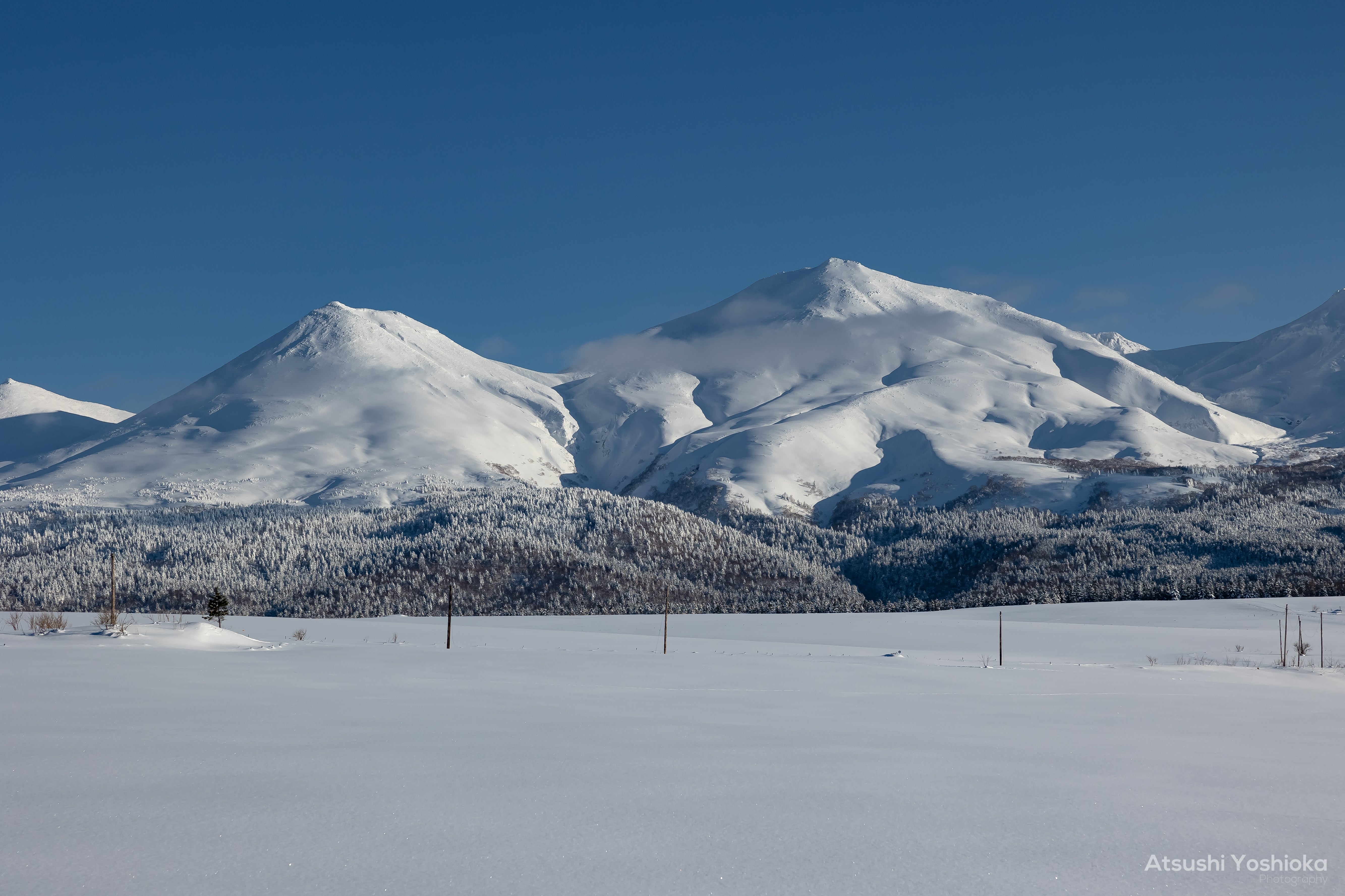 [レンタル] CANON RF24-70mm F2.8 L IS USM 標準ズームレンズ - 6