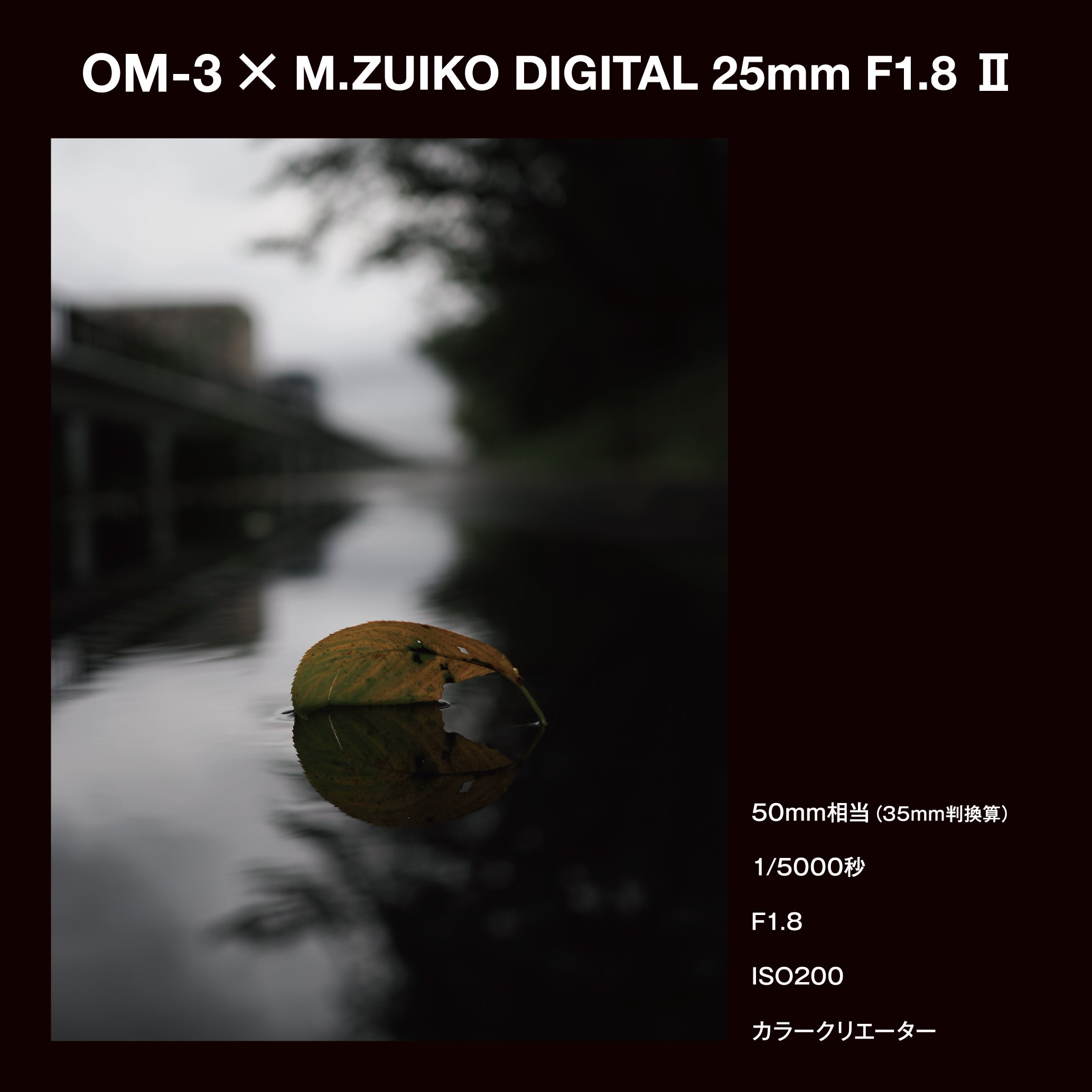 [レンタル] OM SYSTEM M.ZUIKO DIGITAL 25mm F1.8 II 単焦点レンズ - 7