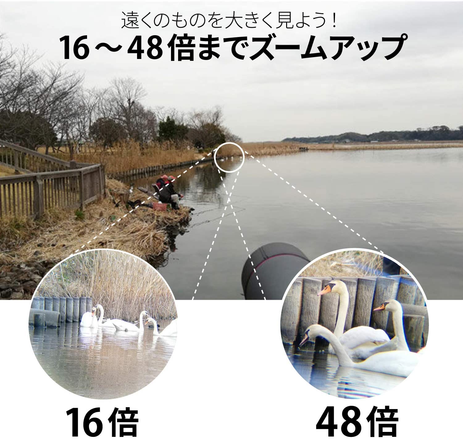 [レンタル] ケンコー・トキナー プロフィールドガイア PFG-48A 地上望遠鏡 傾斜型 - 2