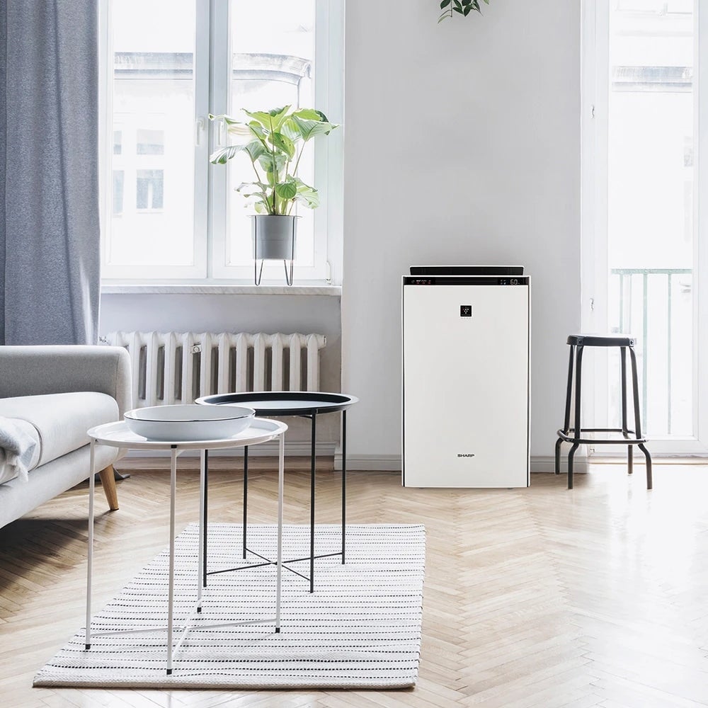 [レンタル] シャープ 加湿空気清浄機 プラズマクラスターNEXT KI-TX70 (空気清浄〜31畳 / 加湿〜最大21畳) - 4