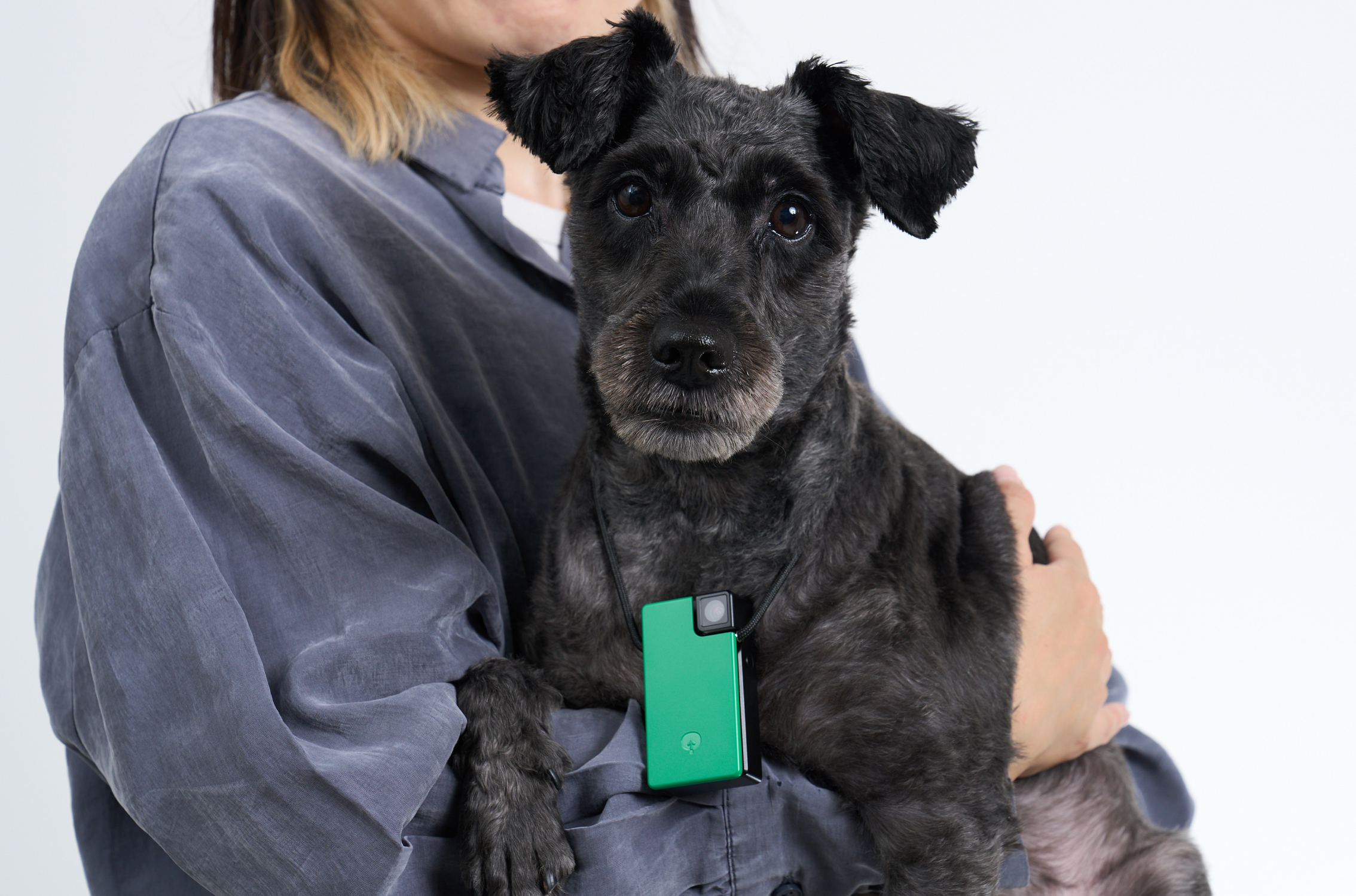 [レンタル] 【2026年3月開始予定】Saveclip ライフログ用 ウェアラブルカメラ - 10