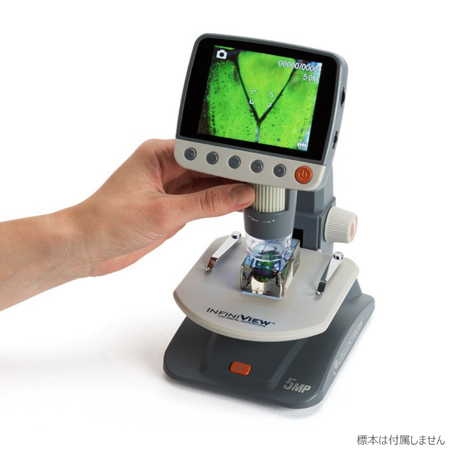 [レンタル] CELESTRON 顕微鏡 InfiniView LCD デジタル顕微鏡 - 5