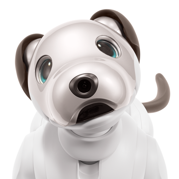 レンタル ソニー エンタテインメントロボット Aibo アイボリーホワイト 足裏パッド付き Rentio レンティオ