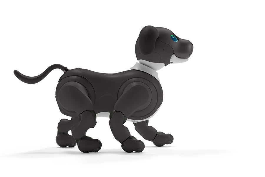 [レンタル] ソニー エンタテインメントロボット aibo エスプレッソエディション 足裏パッド付き - 4