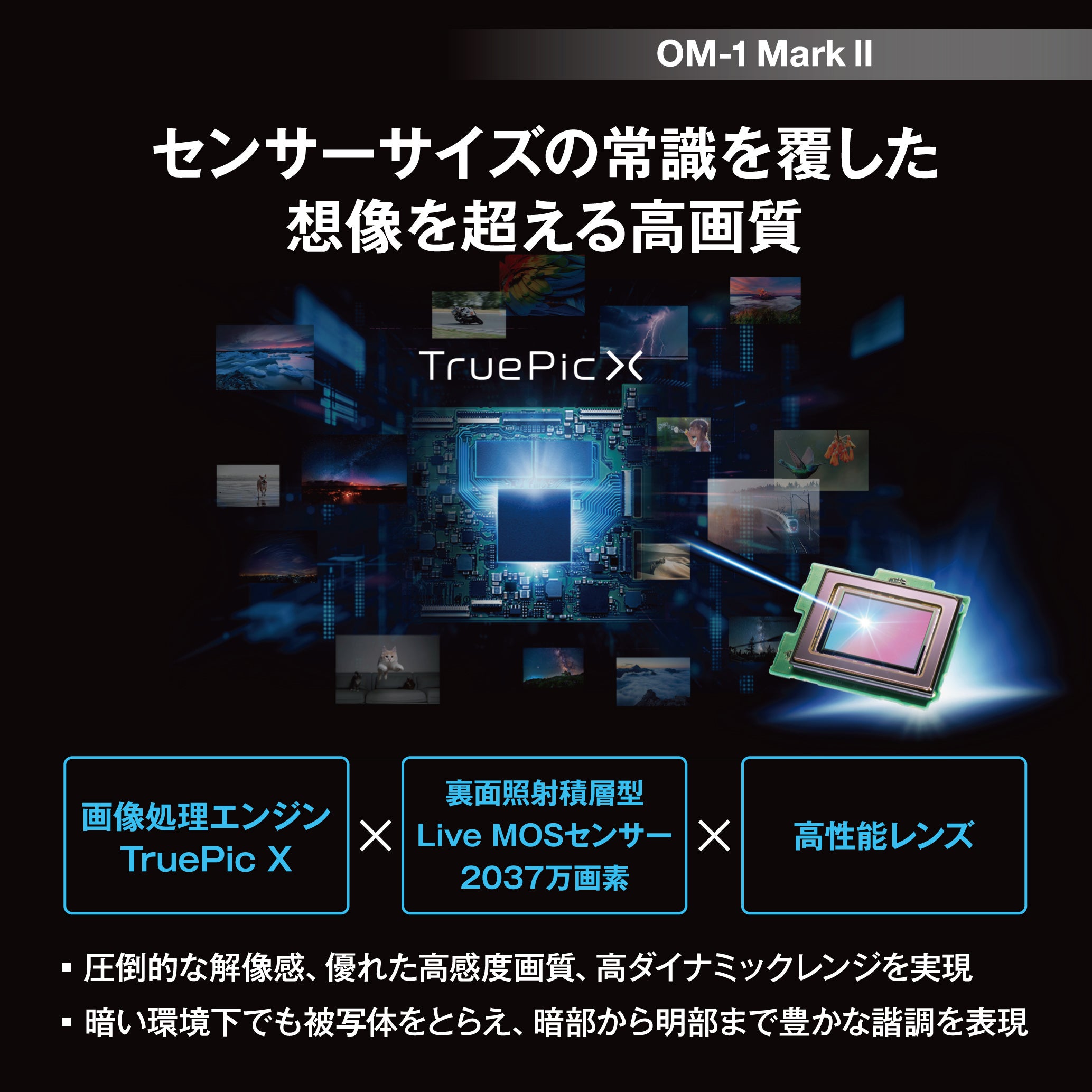 [レンタル] OM SYSTEM OM-1 Mark II ボディ ミラーレス一眼 - 14