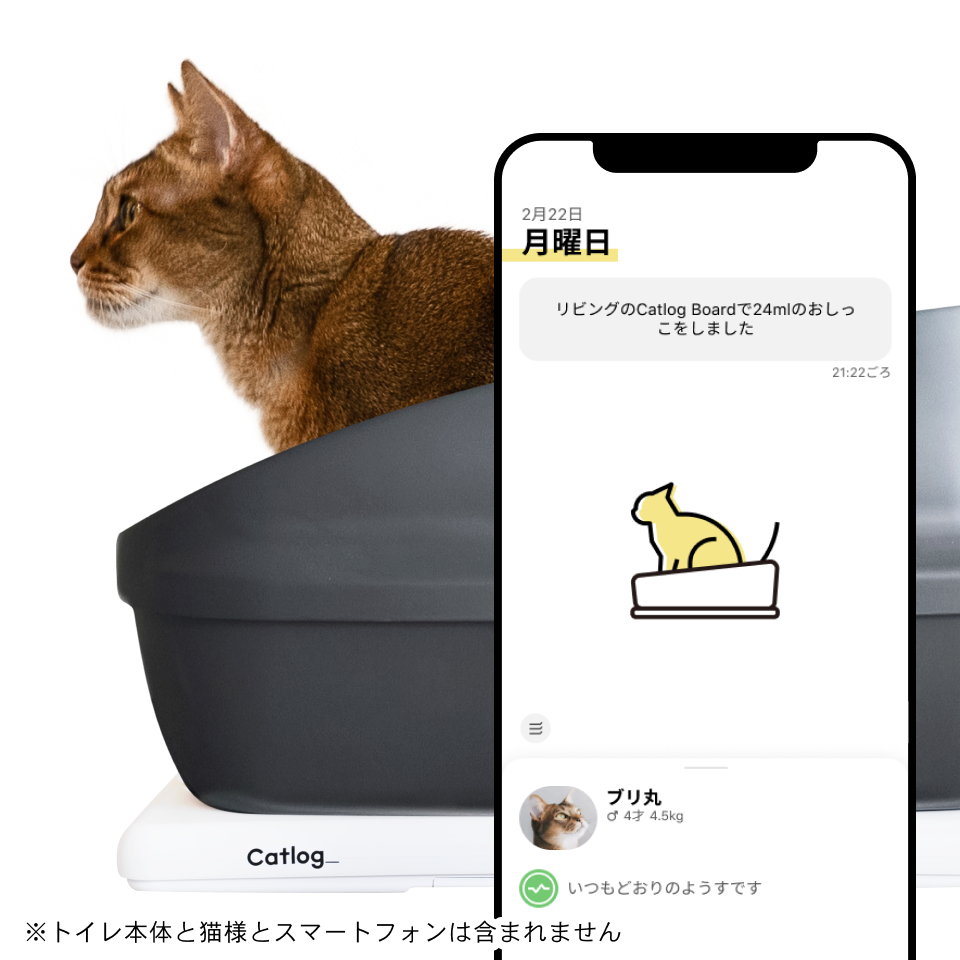 [レンタル] Catlog Board(キャトログボード) ボード型IoTデバイスの