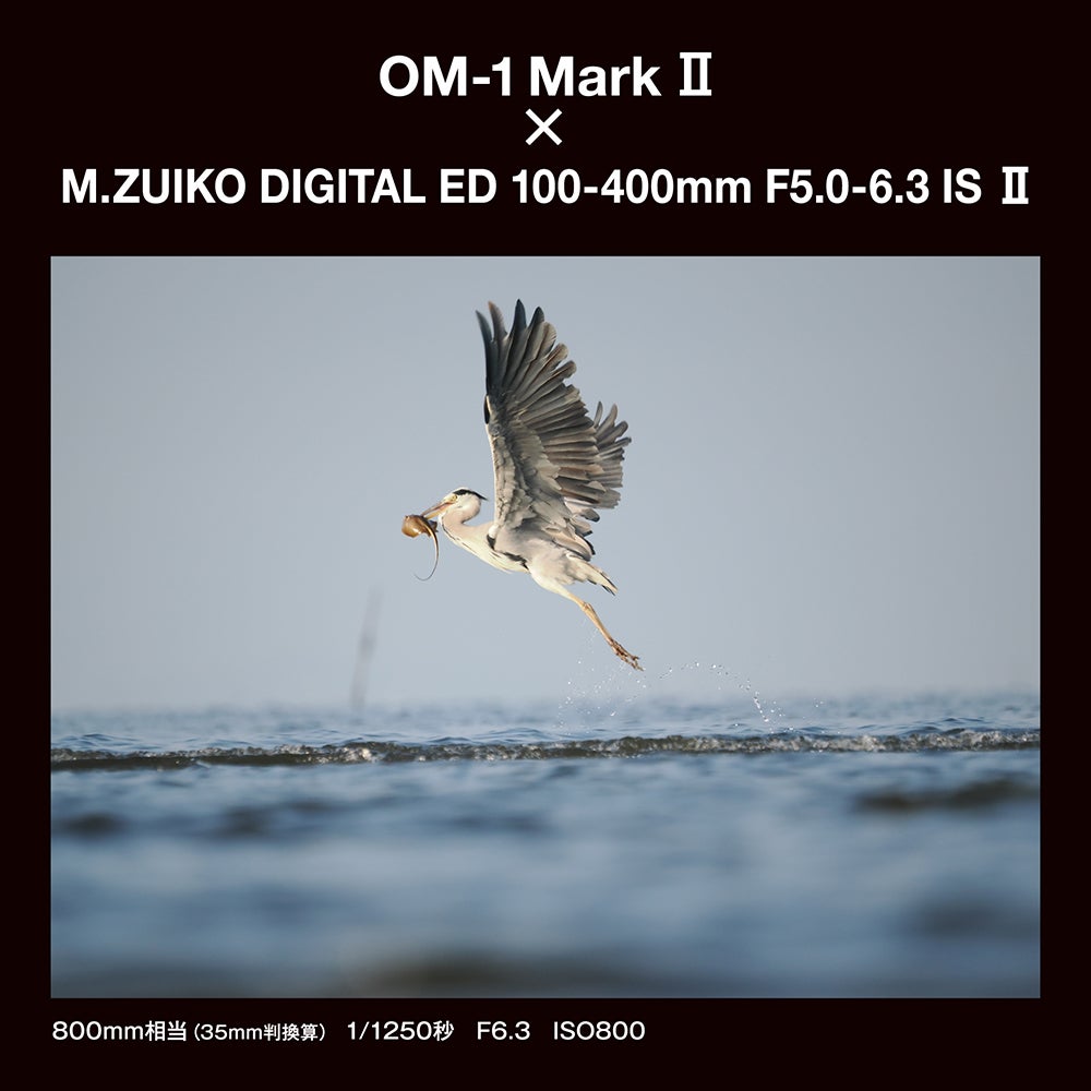 [レンタル] OM SYSTEM M.ZUIKO DIGITAL ED 100-400mm F5.0-6.3 IS II 望遠ズームレンズ - 9