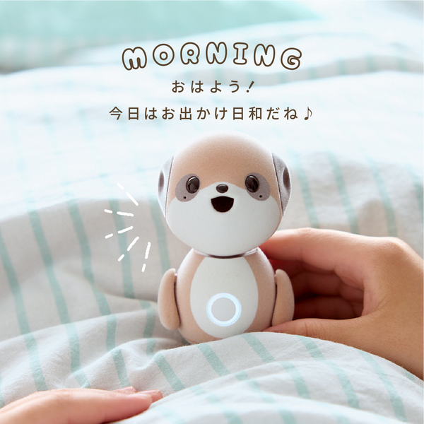 [レンタル] [本体のみレンタル]シャープ 会話ロボット ポケとも - 12