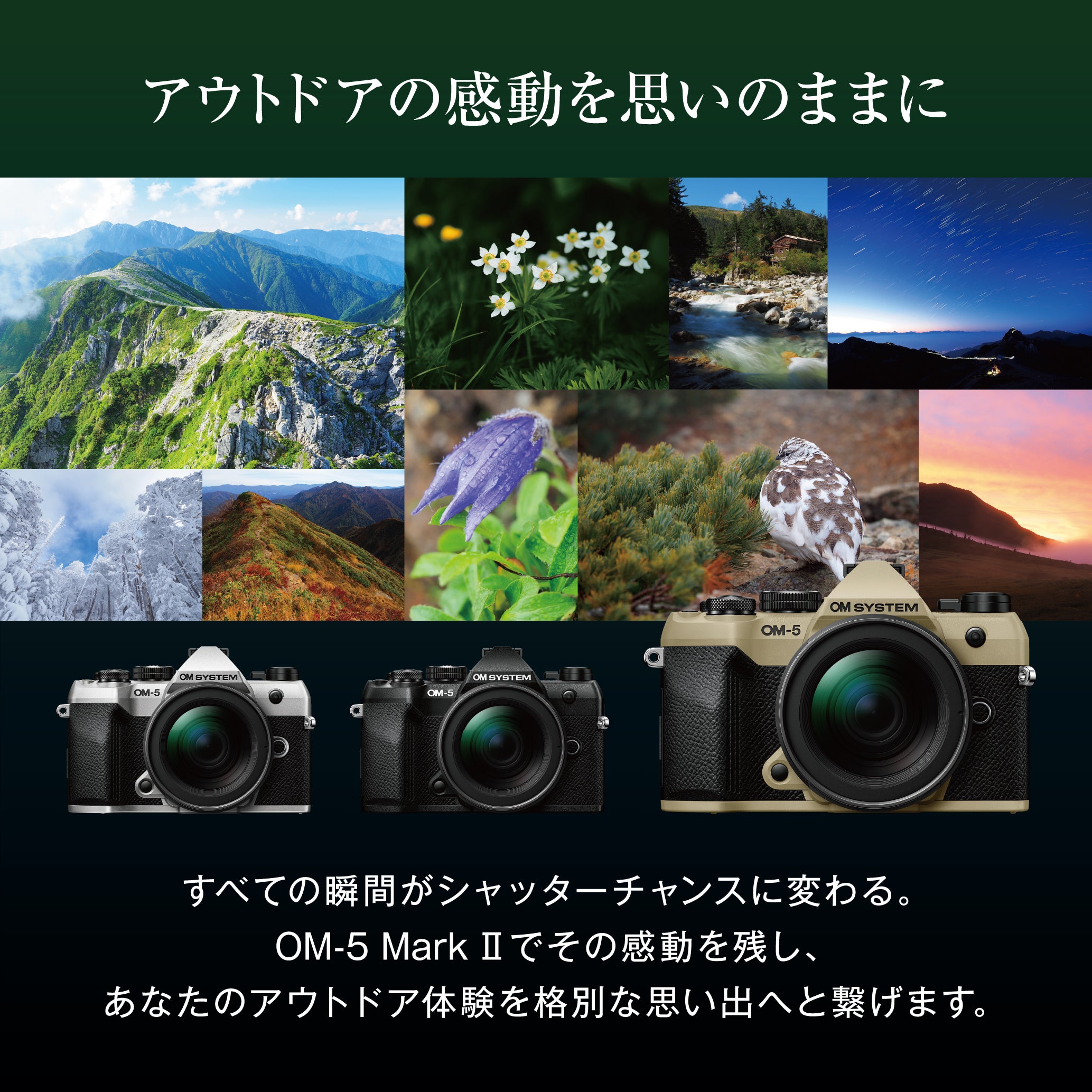 [レンタル] OM SYSTEM OM-5 Mark II 14-150mm II レンズキット ブラック - 19