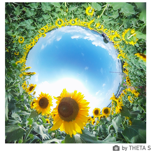 [レンタル] 全天球カメラ RICOH THETA S - 6