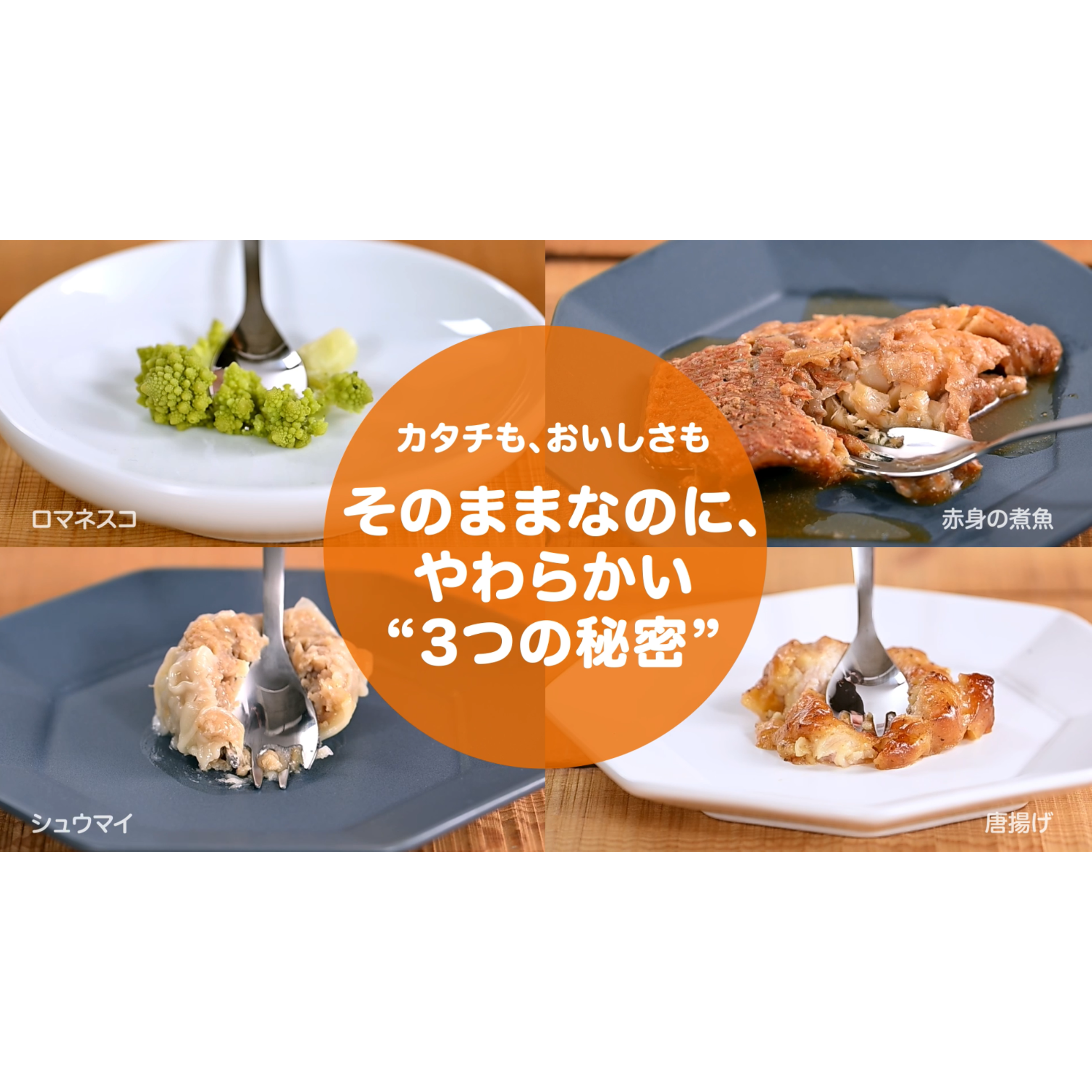 デリソフター DS-1　GIFMO　電気圧力鍋　介護食　柔らか食 4.8L】ギフモ 炊飯器・電気圧力鍋・やわらか調理器DeliSofter