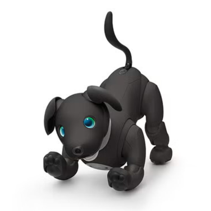 レンタル] ソニー エンタテインメントロボット aibo エスプレッソ