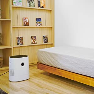 レンタル] BONECO HEALTHY AIR 気化式加湿器 W220 (プレハブ/最大10畳