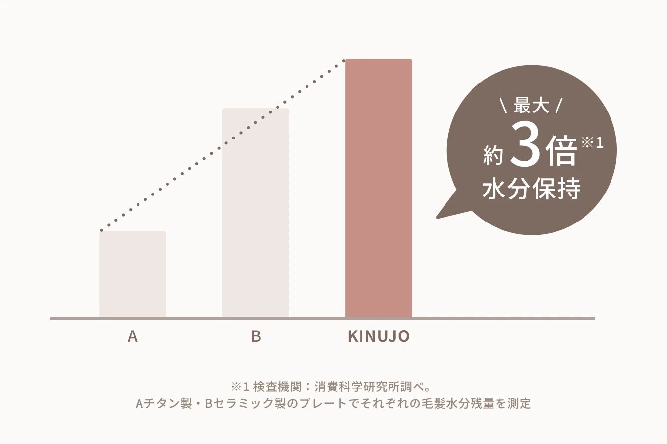 [レンタル] [海外対応] 絹女 KINUJO Luxejewel コードレスアイロン LX001 - 9