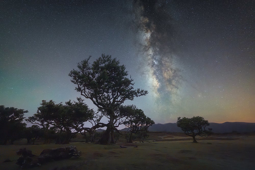 [レンタル] CANON RF14mm F1.4 L VCM 大口径超広角単焦点レンズ - 3