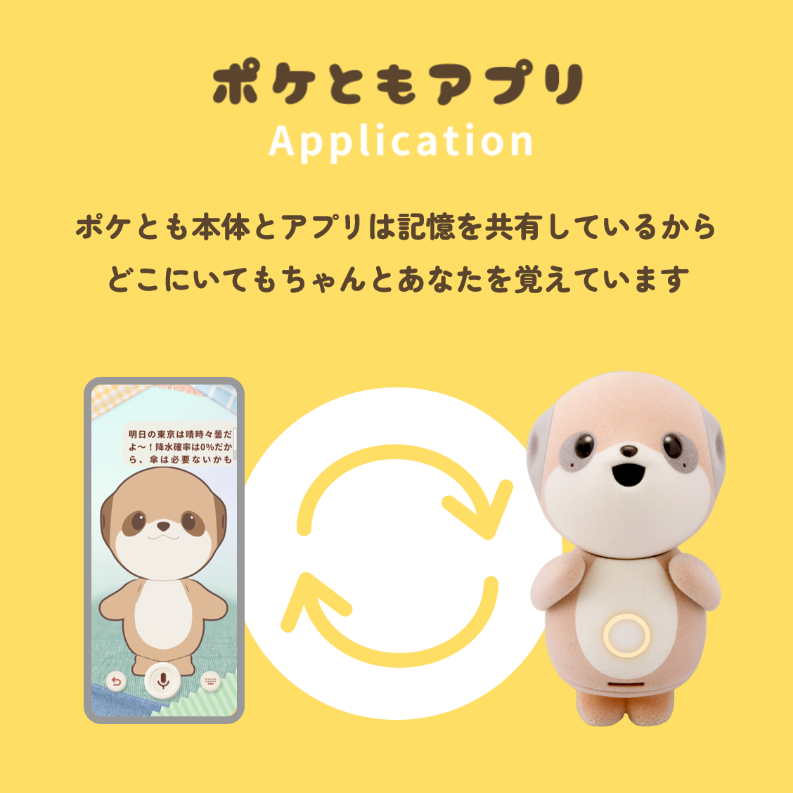 [レンタル] [会話回数無制限プラン付き] シャープ 会話ロボット ポケとも - 11