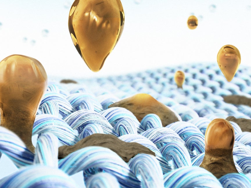 [レンタル] パナソニック 【左開き】洗濯12kg/乾燥6kg NA-LX127EL ななめドラム式洗濯乾燥機 マットホワイト - 8