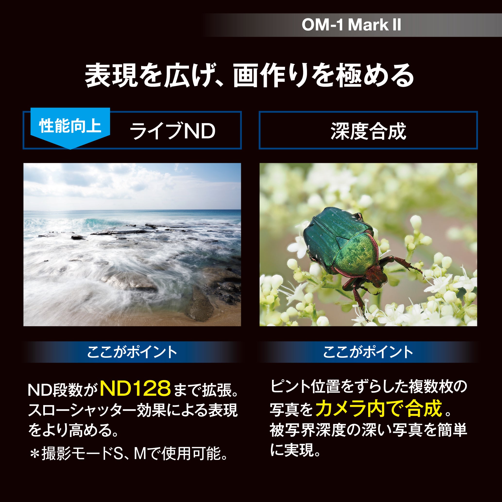 [レンタル] [発表会・野鳥・ペンサ] OM SYSTEM OM-1 Mark II ＆ M.ZUIKO DIGITAL ED 100-400mm F5.0-6.3 IS II 望遠ズームレンズセット - 10