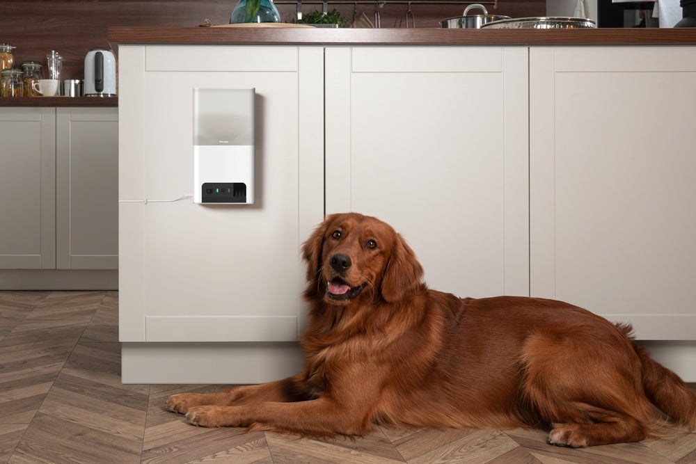 [レンタル] Modernity Petcube Bites 2 Lite BL10US 室内用ペット見守りカメラ - 4