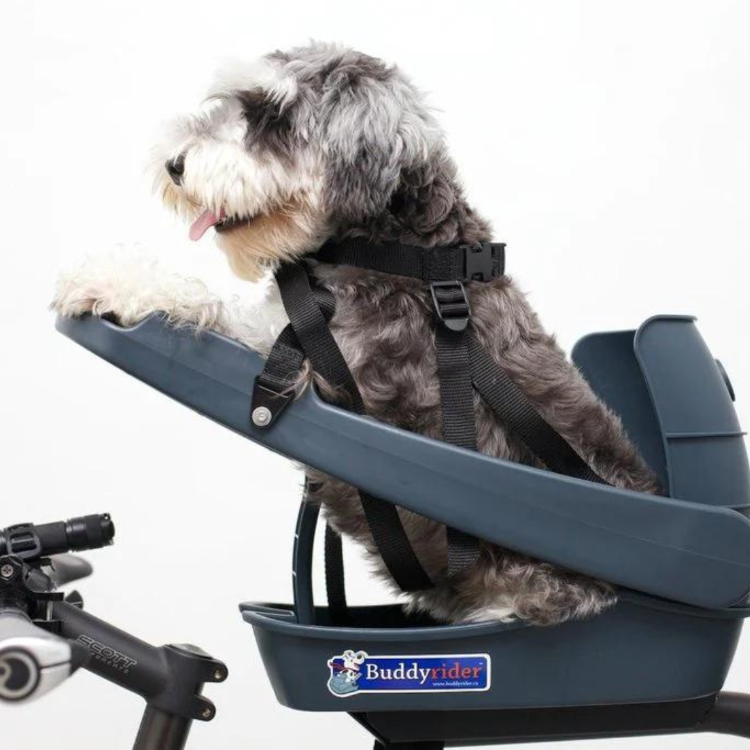 [レンタル] Buddy Rider 自転車取付用ペットカート - 2