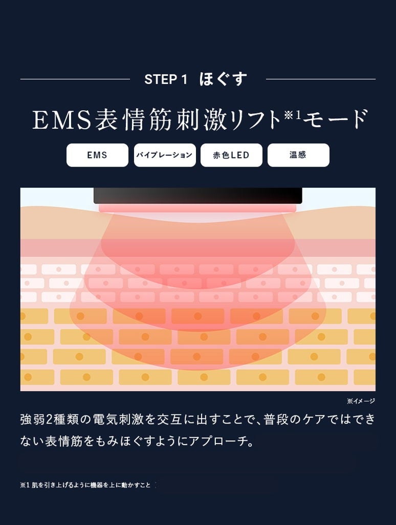 [レンタル] アンファー ディズム EMS EER メディスキンケアデバイス - 6
