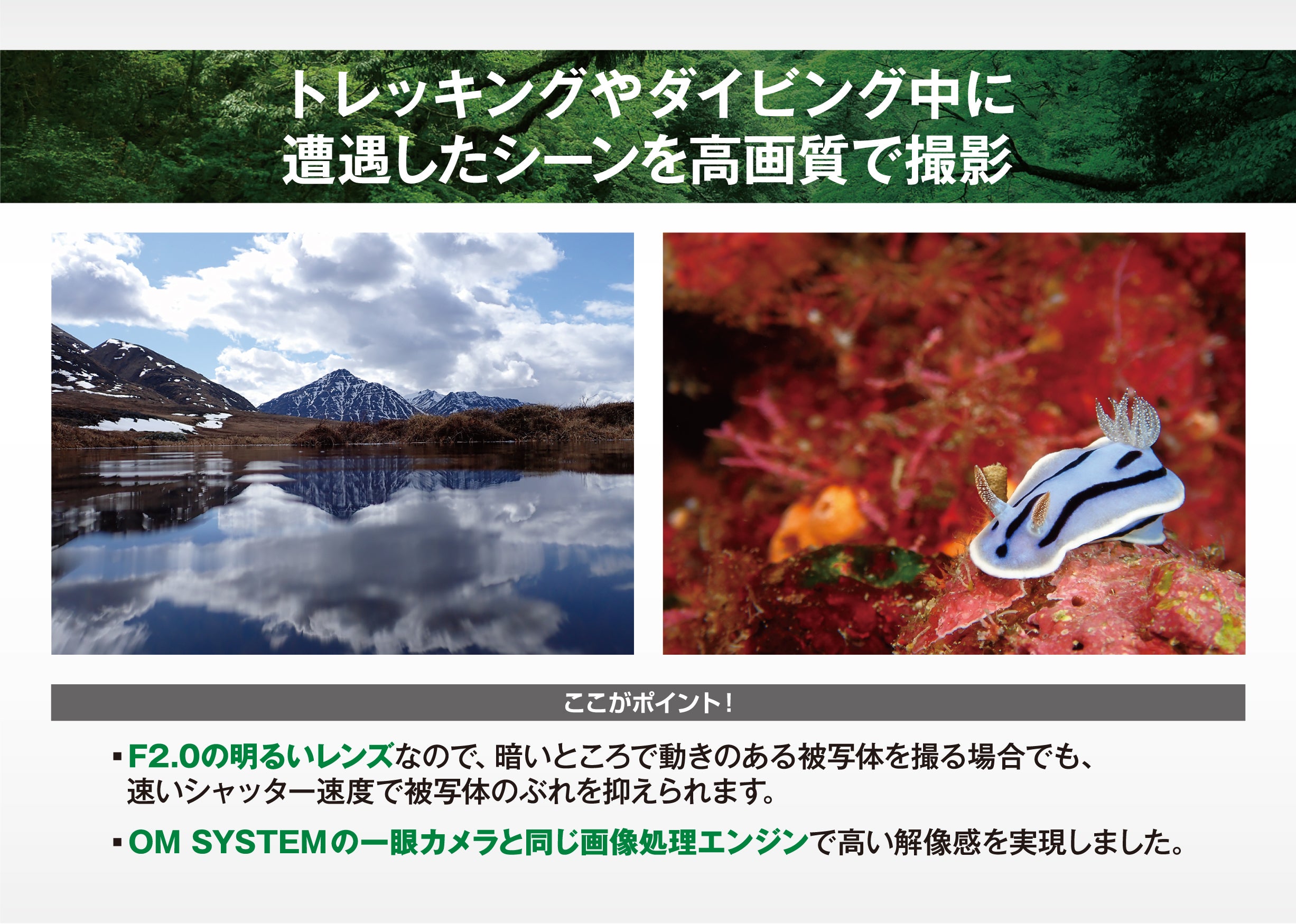 [レンタル] OM SYSTEM 防水カメラ Tough TG-7 コンパクトデジタルカメラ - 12