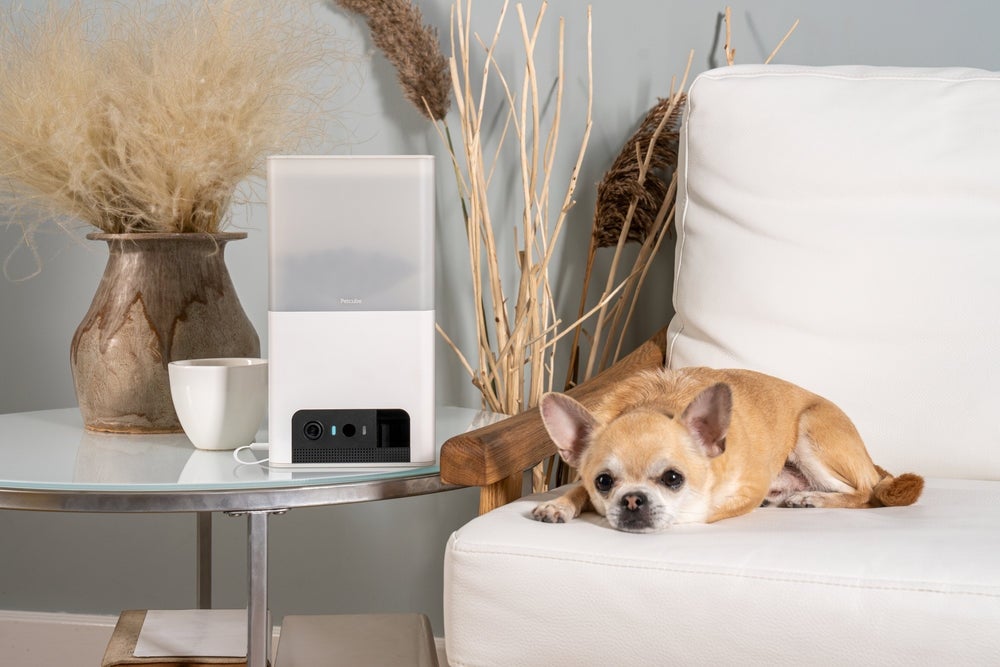 [レンタル] Modernity Petcube Bites 2 Lite BL10US 室内用ペット見守りカメラ - 8