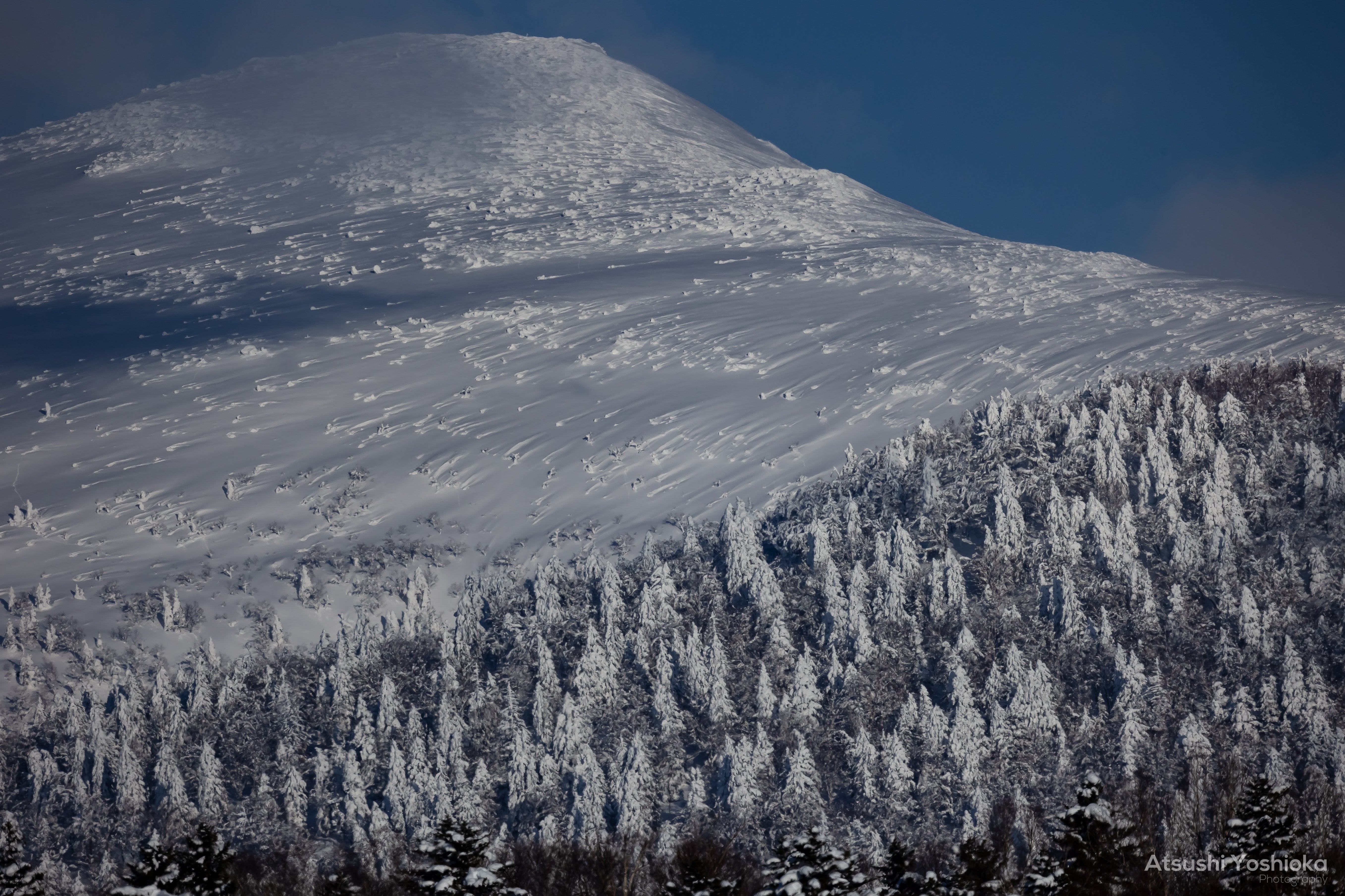 [レンタル] CANON RF800mm F11 IS STM 単焦点レンズ - 8